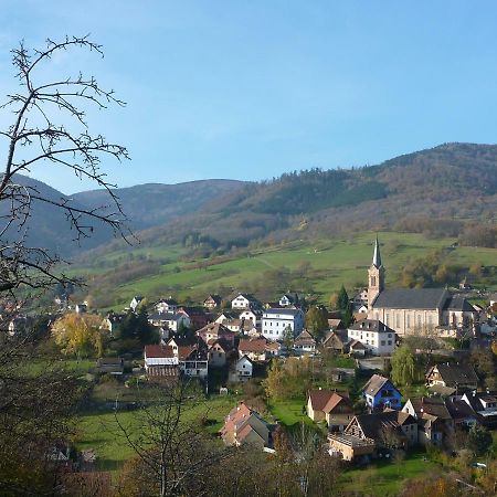 Gite Schlitteur Et Sapiniere Breitenbach Dış mekan fotoğraf