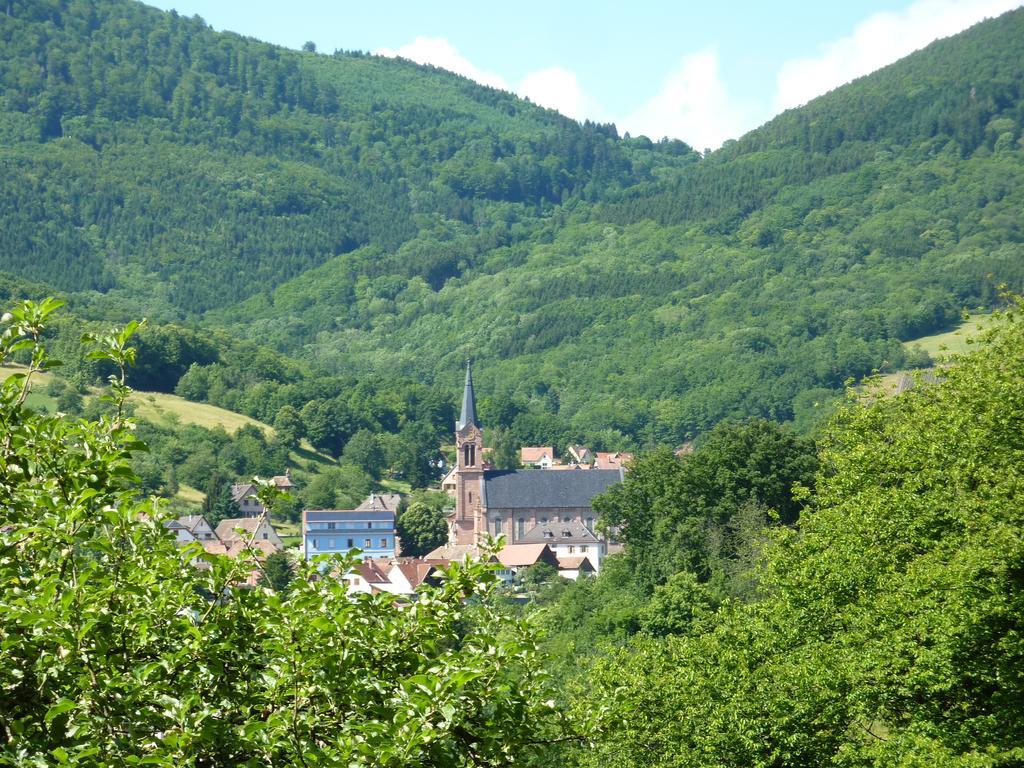 Gite Schlitteur Et Sapiniere Breitenbach Dış mekan fotoğraf