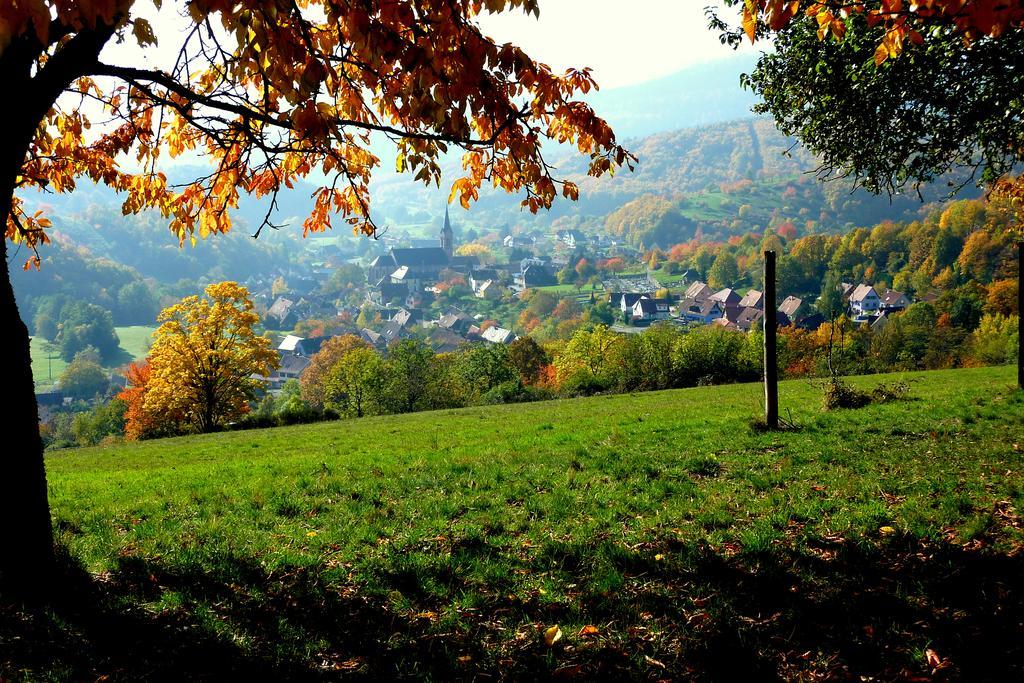 Gite Schlitteur Et Sapiniere Breitenbach Dış mekan fotoğraf
