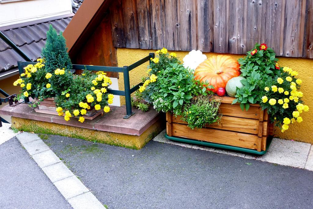 Gite Schlitteur Et Sapiniere Breitenbach Dış mekan fotoğraf