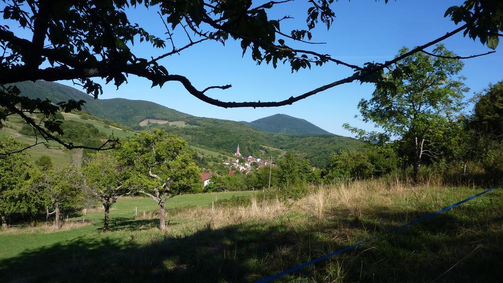 Gite Schlitteur Et Sapiniere Breitenbach Dış mekan fotoğraf