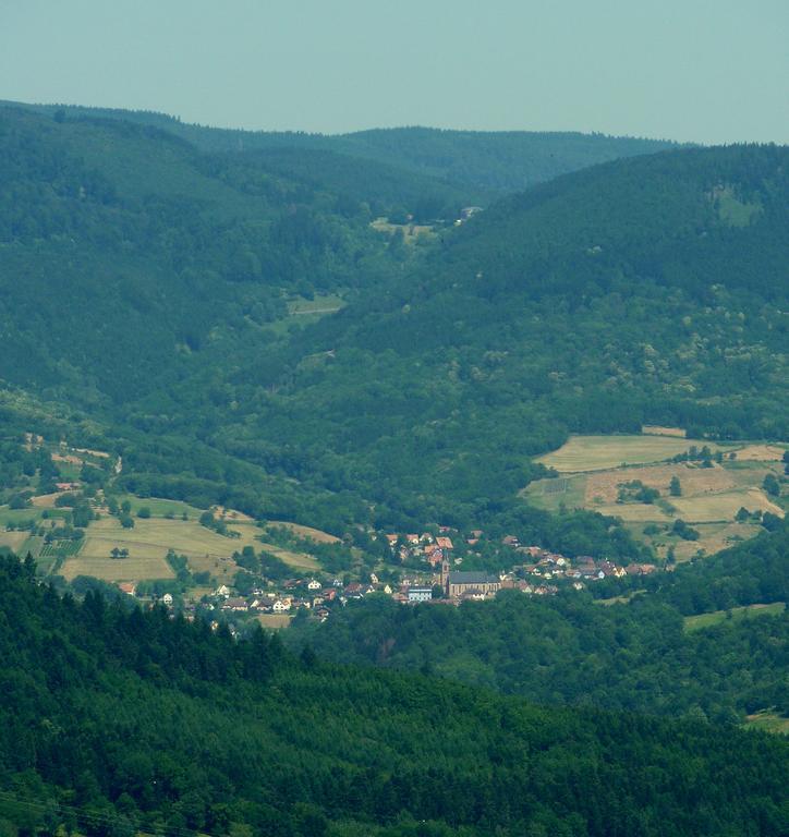 Gite Schlitteur Et Sapiniere Breitenbach Dış mekan fotoğraf