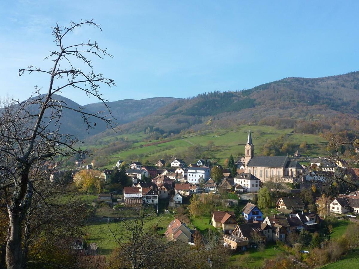 Gite Schlitteur Et Sapiniere Breitenbach Dış mekan fotoğraf