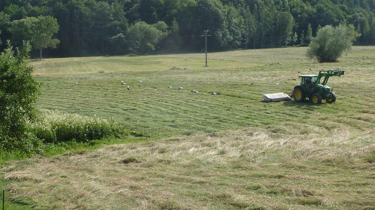 Gite Schlitteur Et Sapiniere Breitenbach Dış mekan fotoğraf