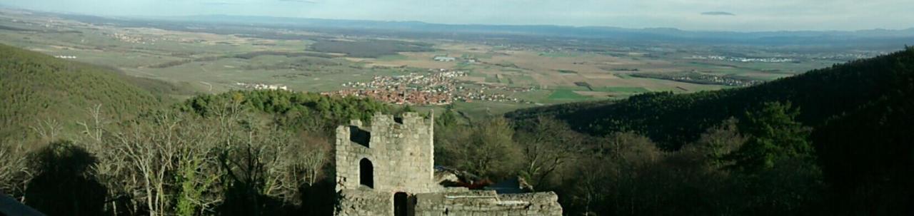 Gite Schlitteur Et Sapiniere Breitenbach Dış mekan fotoğraf